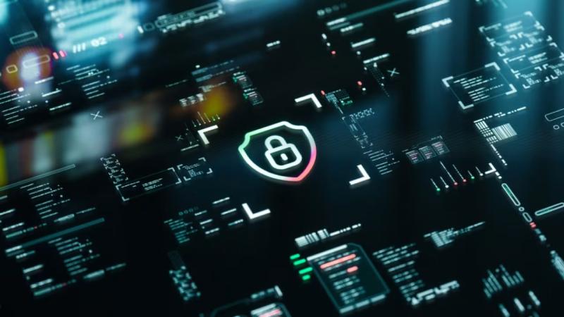 临沧软件开发公司